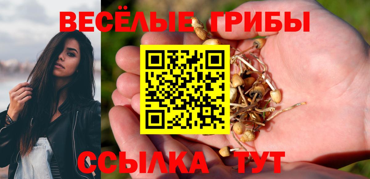 Новочебоксарск  Галлюциногенные грибы прущие грибы  Вход с VPN  Галлюциногенные грибы Psilocybine cubensis 
